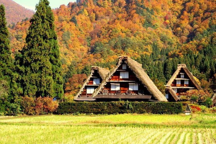 Làng Shirakawago vào mùa thu (Ảnh: Internet).