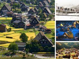 Khám phá làng cổ Shirakawago đẹp mộng mơ vào những ngày đầu thu