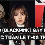 Ảnh đại diện Lisa