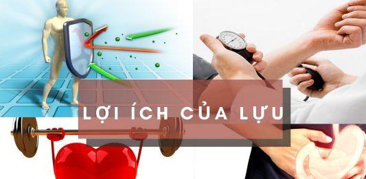 8 lợi ích từ quả lựu đối với sức khỏe: “Cứu cánh” cho tim mạch và đường huyết Trái lựu