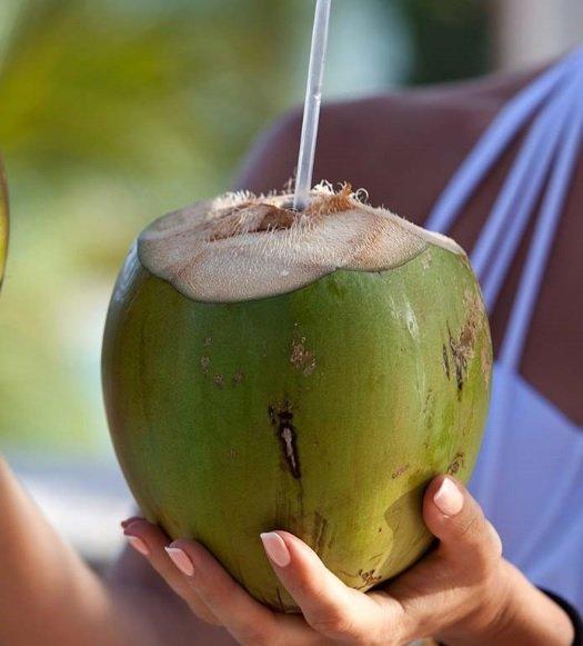 Trái dừa xanh mát cho bạn không chỉ nước ngọt mà cả cùi dừa cũng rất ngon (Ảnh: Internet).