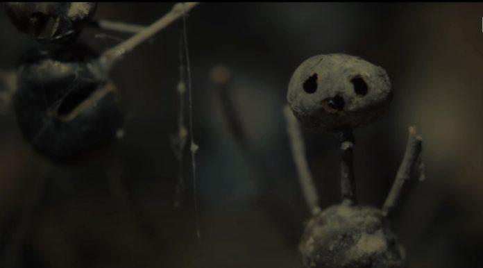 Những con búp bê hạt dẻ lại có thể trở lên đáng sợ như vậy dưới góc máy của nhà làm phim.