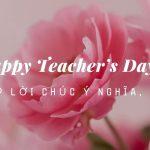 Tổng hợp 50 lời chúc 20/11 hay và ý nghĩa nhân Ngày nhà giáo Việt Nam