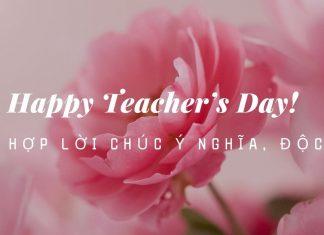 Tổng hợp 50 lời chúc 20/11 hay và ý nghĩa nhân Ngày nhà giáo Việt Nam
