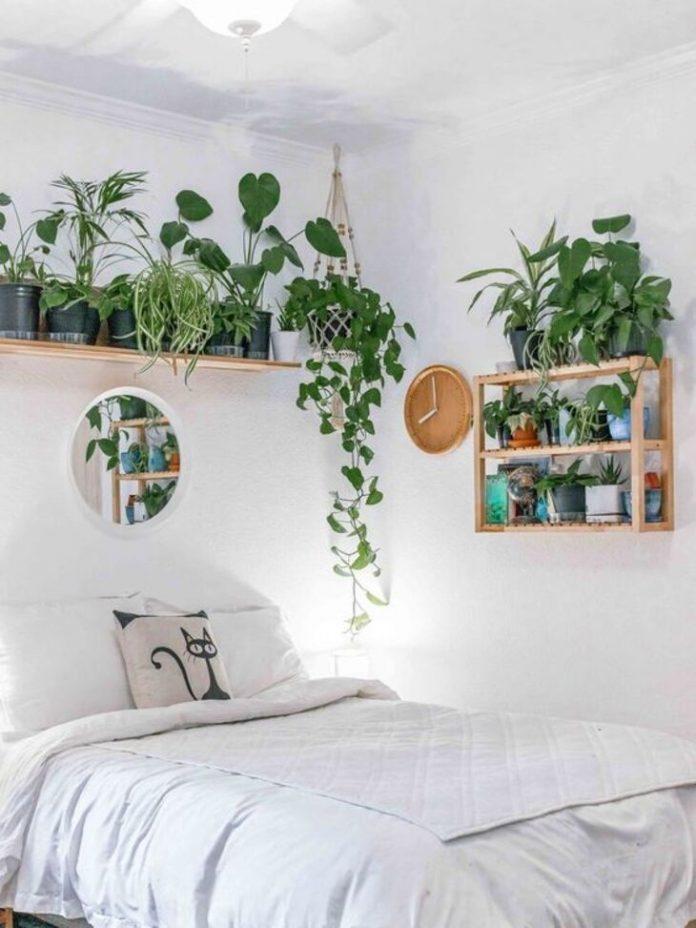 Trang trí phòng ngủ với cây xanh (Ảnh: Internet).