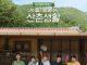 Mountain Village Playlist: Hội bác sĩ Hospital Playlist rủ nhau đi picnic trong show thực tế mới Bộ 5 bác sĩ khi trở thành những người yêu thích lao động (Ảnh: Internet)