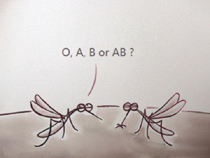 Có phải muỗi thích nhóm máu O như lời đồn? (Ảnh: Internet).