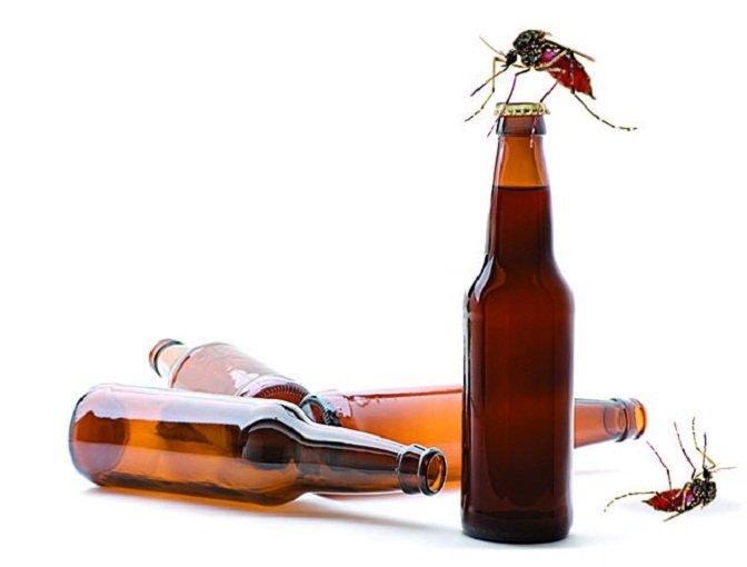 Có vẻ như muỗi thích những người uống bia rượu (Ảnh: Internet).