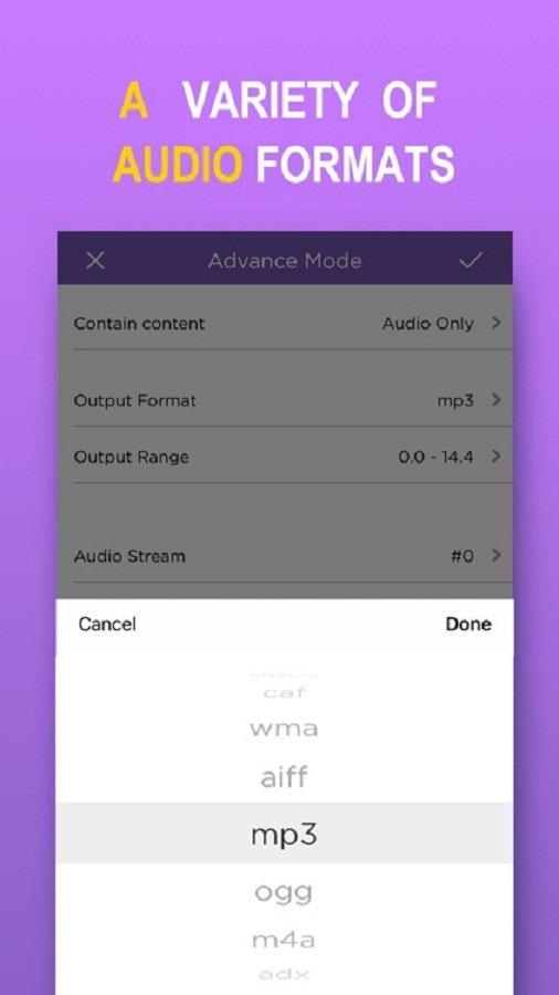 Có nhiều định dạng âm thanh khác nhau để chọn (Ảnh: Internet). Có nhiều định dạng âm thanh khác nhau để chọn (Ảnh: Internet).