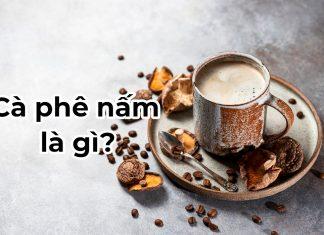 Cà phê nấm là gì? Có lợi ích như thế nào đối với sức khỏe?
