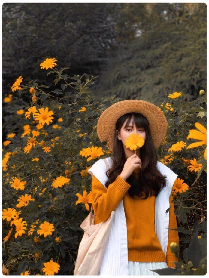 Chụp ảnh so deep cùng hoa dã quỳ - Ảnh: Nguyễn Việt Hà