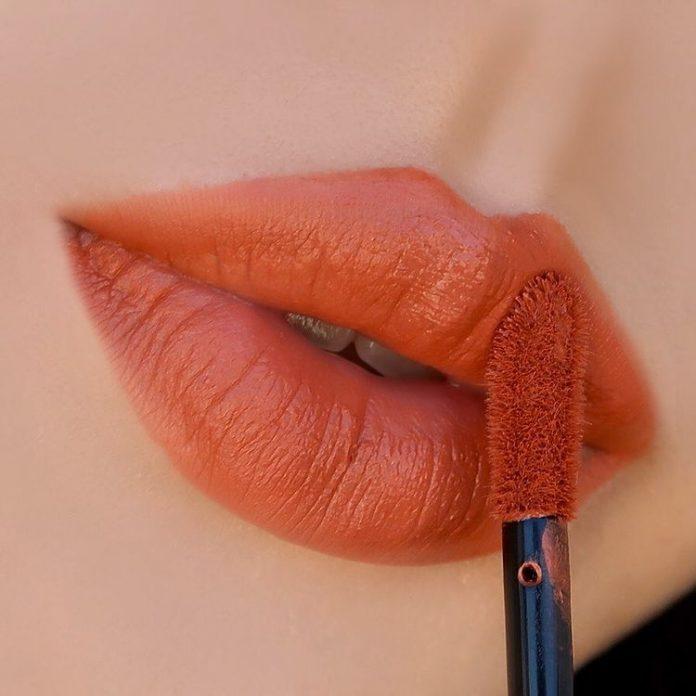 Espoir Couture Lip Fluid Velvet - BR901 Modest ( Nguồn: Internet )