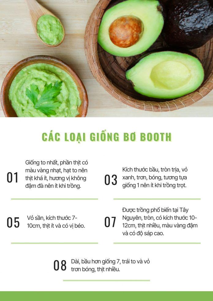 Các loại giống bơ Booth (Ảnh: Internet).