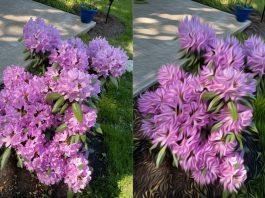 6 ứng dụng biến ảnh chụp thành tranh vẽ nghệ thuật đẹp lạ không ngờ