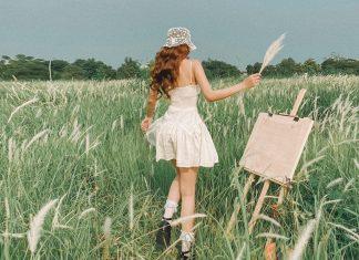 5 cánh đồng cỏ lau Hà Nội đẹp ngỡ ngàng check in cực lung linh