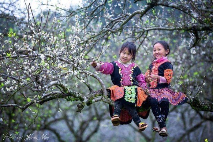 Hoa mận Mộc Châu chưa bao giờ hết hot với du khách - Ảnh: Nina May Hoa mận Mộc Châu chưa bao giờ hết hot với du khách - Ảnh: Nina May