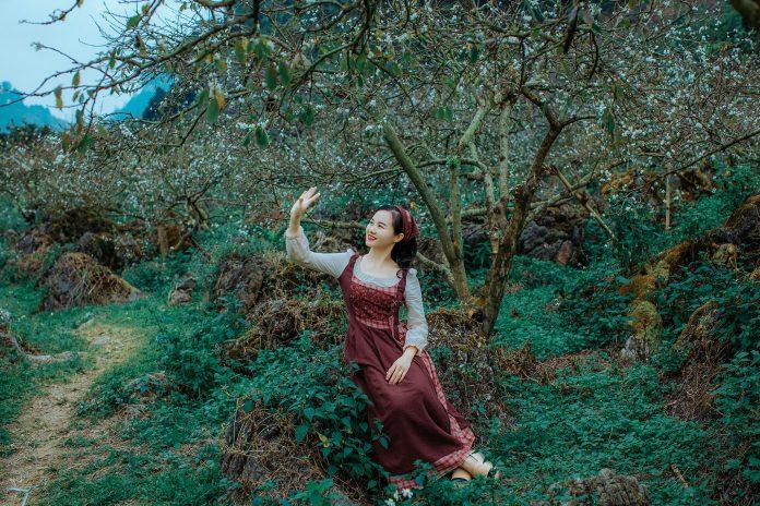 Hoa mận vào mùa vô cùng xinh đẹp - Ảnh: Tú Đàm Hoa mận vào mùa vô cùng xinh đẹp - Ảnh: Tú Đàm