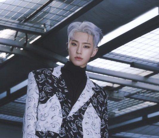 Hoshi tiết lộ dự án “The Thirteen Tapes” của seventeen khi phát hành Spider (nguồn: Internet)