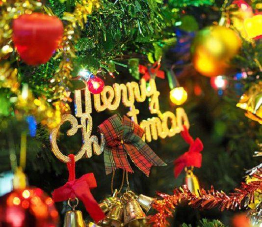 Top 7 quán check-in Noel tại Ninh Thuận không thể bỏ qua