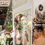 Tổng hợp 10 quán cà phê tràn ngập không khí Noel quanh Hà Nội cho team mê “sống ảo”