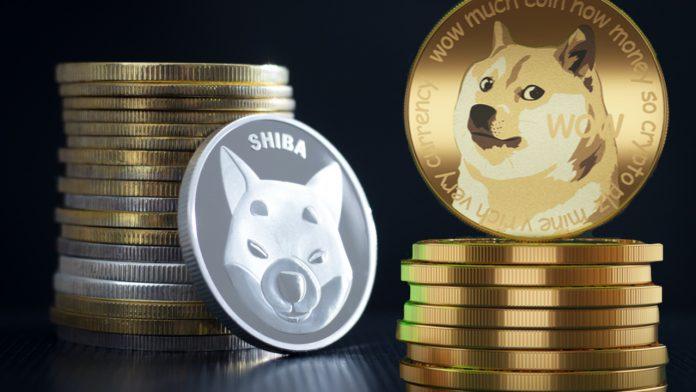 Cuộc đối đầu giữa Dogecoin và Shiba Inu vô cùng khốc liệt (Nguồn: Internet).