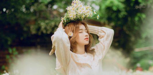 Cúc họa mi nở rộ ở Bãi Đá - Ảnh: Đéng Trần