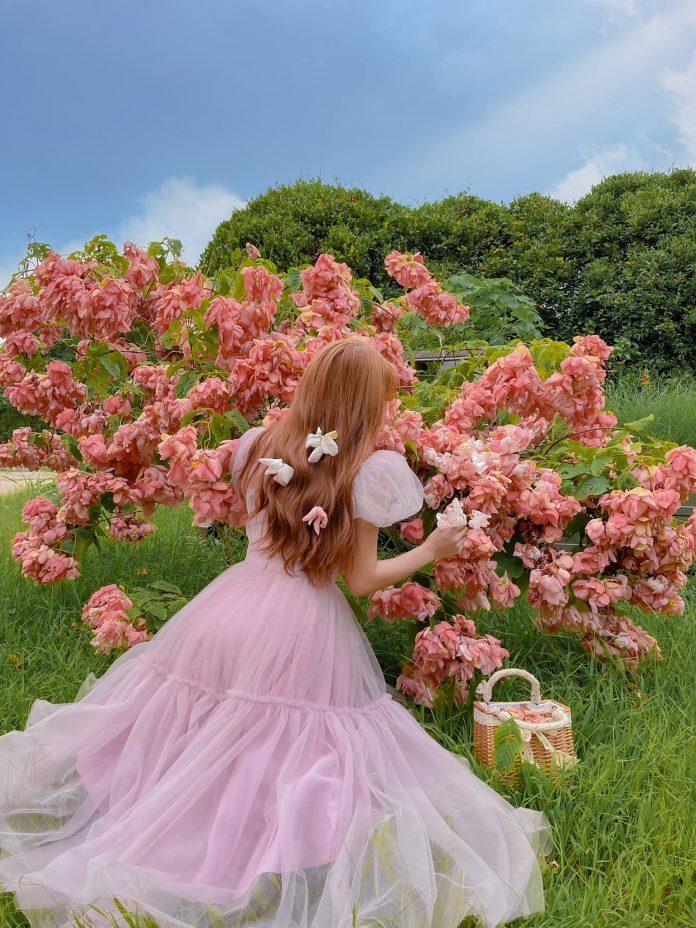 Trong khu vực bãi đá có nhiều loài hoa khác nhau - Ảnh: Lan Hương Trong khu vực bãi đá có nhiều loài hoa khác nhau - Ảnh: Lan Hương