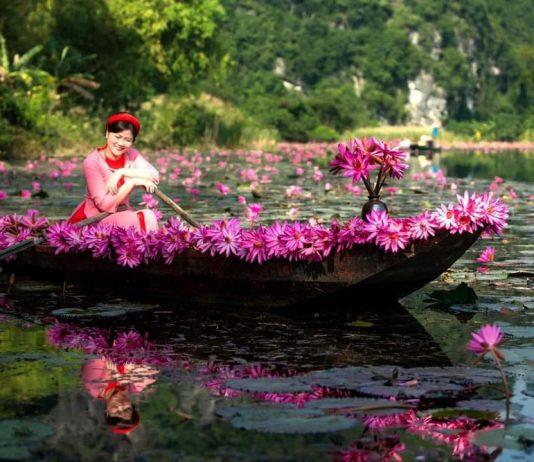 Khám phá địa điểm check in Ninh Bình đẹp lạ độc đáo Thuyền được trang trí hoa súng (nguồn: FB Check in Ninh Bình)