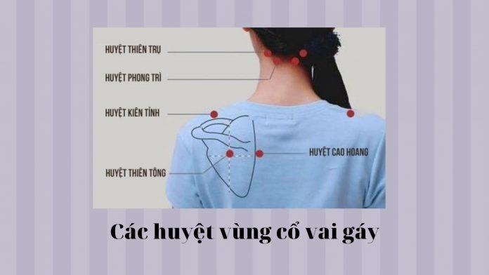 Một số huyệt đạo vùng cổ, vai gáy (Ảnh: Internet)