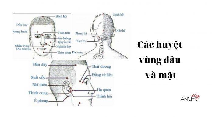 Một số huyệt đạo vùng đầu và mặt (Ảnh: Internet)