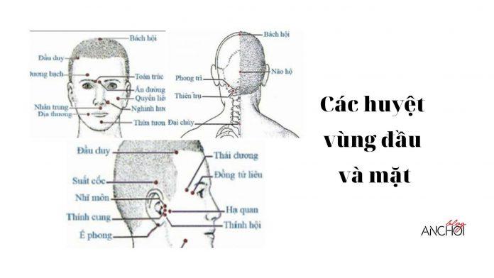 Một số huyệt đạo vùng đầu và mặt (Ảnh: Internet)