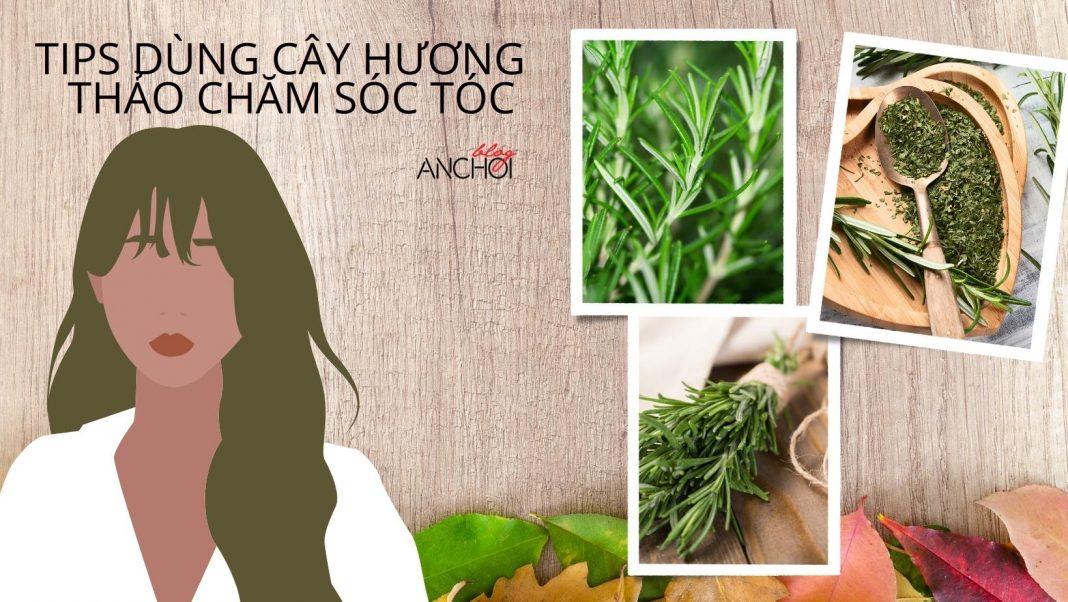 Bật mí 3 tips dùng cây hương thảo chăm sóc tóc hiệu quả nhất hiện nay (nguồn: BlogAnChoi)