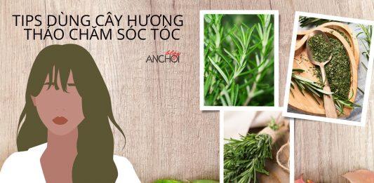 Bật mí 3 tips dùng cây hương thảo chăm sóc tóc hiệu quả nhất hiện nay (nguồn: BlogAnChoi)