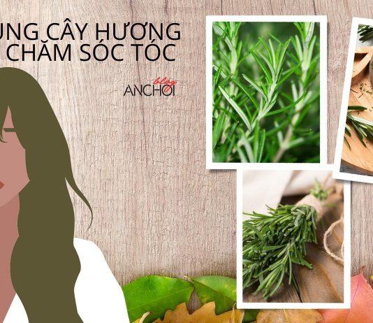 Bật mí 3 tips dùng cây hương thảo chăm sóc tóc: suôn mượt, chắc khỏe và giảm gãy rụng Bật mí 3 tips dùng cây hương thảo chăm sóc tóc hiệu quả nhất hiện nay (nguồn: BlogAnChoi)