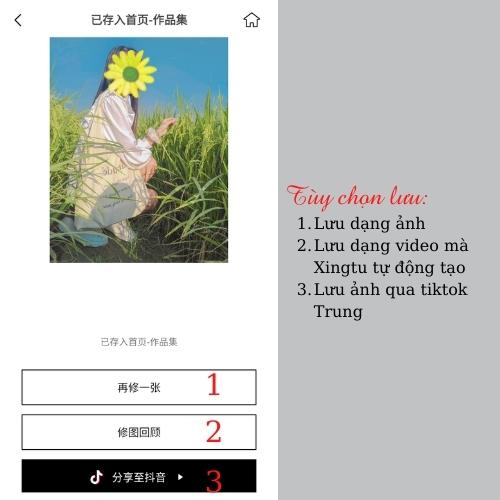 Hướng dẫn sử dụng app Xingtu cơ bản cho phiên bản mới nhất (Nguồn: BlogAnChoi).