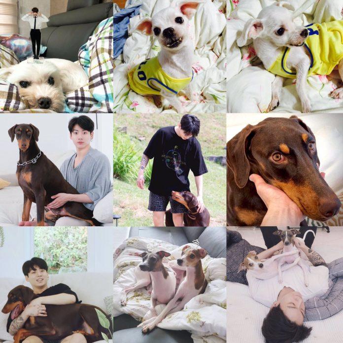 Gia đình bố Kook và 4 đứa con "cưng xỉu" (Ảnh: Internet)