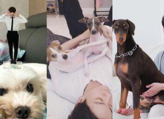 Hé lộ gia đình cún cưng cực đáng yêu của Jungkook BTS