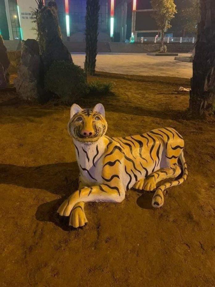 Đàn hổ ở Phú Thọ (Nguồn: Internet)