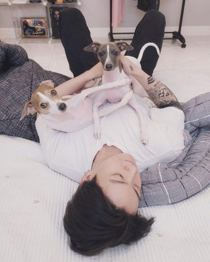 Jungkook mới đây đăng tải hình ảnh về 2 chú chó đáng yêu khác là Paengie và Songie (Ảnh: Instagram)
