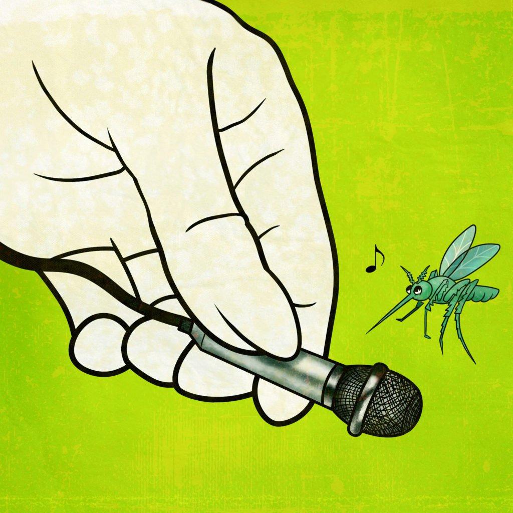Squeak rap được ví như "mosquito sounds" - tiếng muỗi vo ve (Nguồn: Internet).