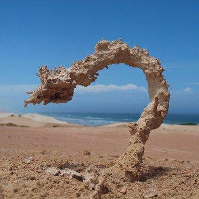 Hiện tượng cát hoá đá kì thú. (Nguồn: Internet)