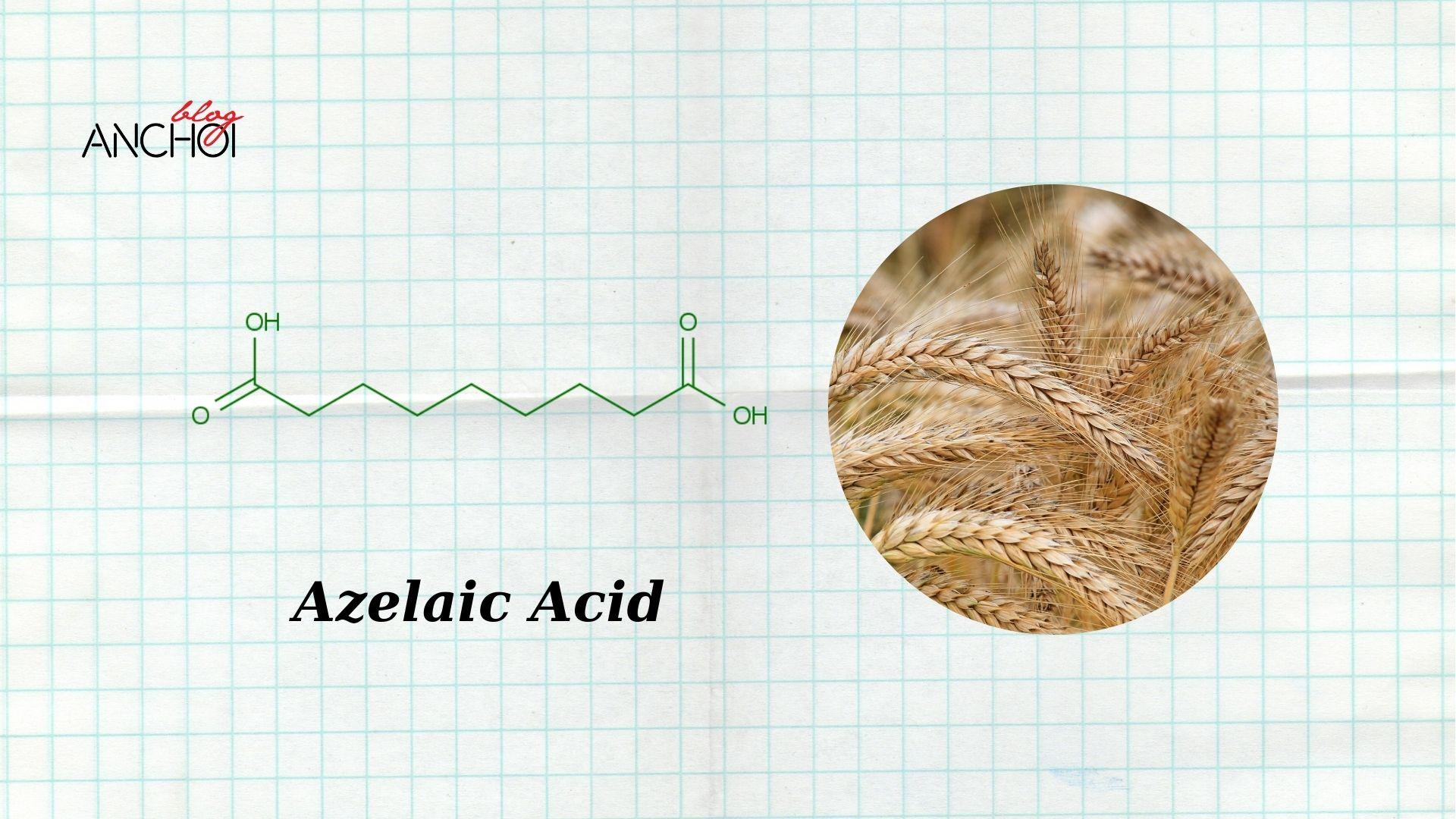 Azelaic Acid "thần dược" trong việc trị mụn làm sáng da (Ảnh: nquynhvy)