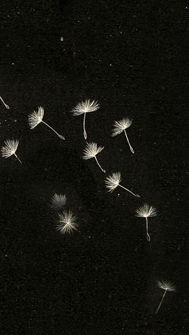 Hình nền bồ công anh (Ảnh: Internet)