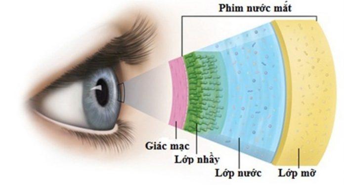 Nước mắt gồm có 3 lớp tạo thành (Ảnh: Internet).