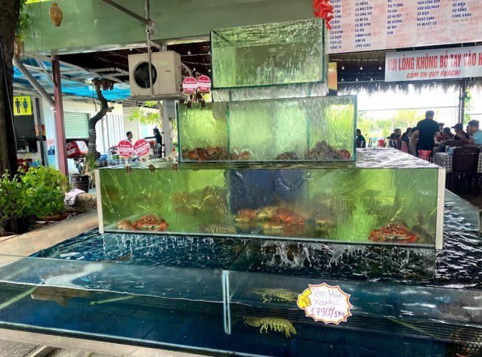 Quầy hải sản tươi sống của quán. (Ảnh: Internet)