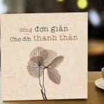 7 quy tắc giúp bạn sống khôn ngoan và thanh thản hơn mỗi ngày