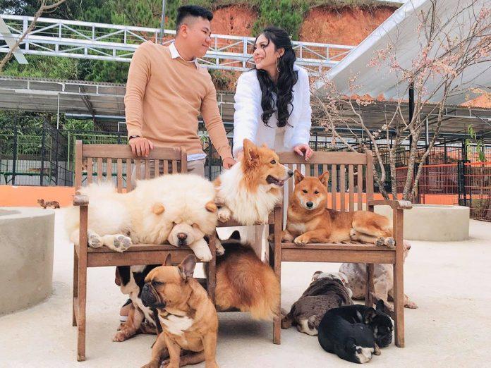 Trang trại cún Puppy Farm Đà Lạt (Nguồn: Internet)