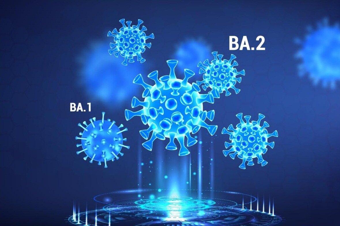 BA.2 là biến thể tàng hình so với BA.1 là omicron gốc (Ảnh: Internet).