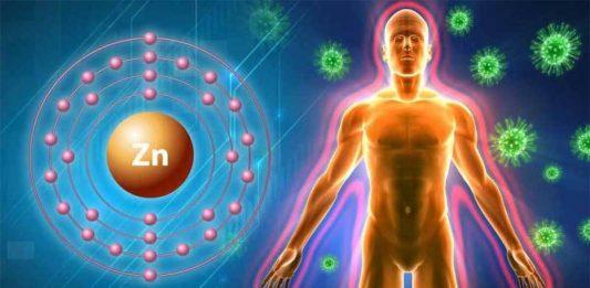 Kẽm là nguyên tố cần thiết cho cơ thể (Ảnh: Internet).