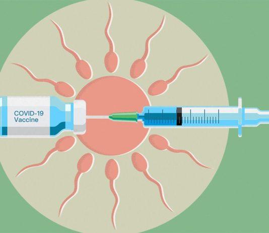 Vaccine COVID-19 không gây vô sinh (Ảnh: Internet).